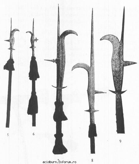 perfect collection of arms - ce arme super marfa.numa bune de spenkuiala - Poze Rock